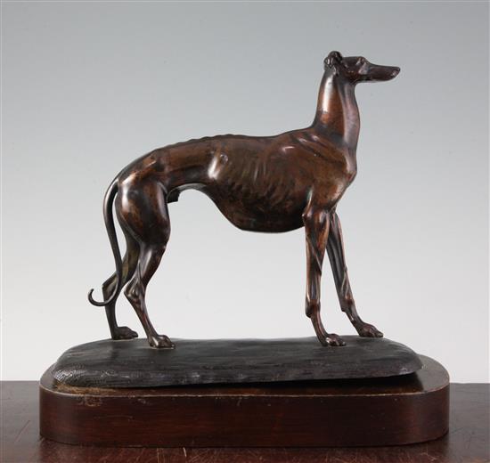 A Victorian copper bronze model of a greyhound, H. 9in.